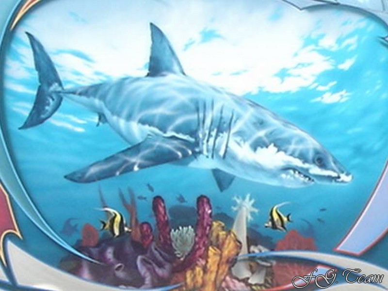 Svempas Shark (11).jpg